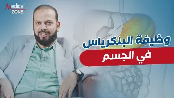وظيفة البنكرياس في الجسم| بين الهضم وتنظيم مستوى السكر