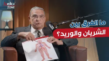 ما الفرق بين الأوردة والشرايين؟