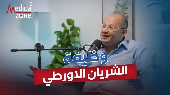 ما وظيفه الشريان الاورطي؟