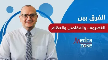 ما الفرق بين الغضاريف والمفاصل والعظام