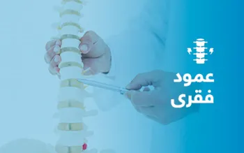 عمود فقري