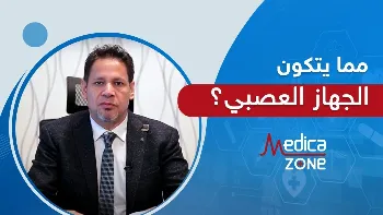 مما يتكون الجهاز العصبي؟ وكيف تحافظ على سلامته